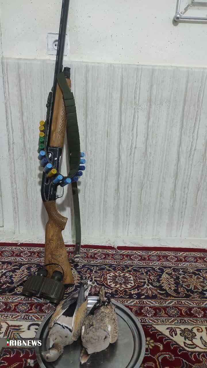 دستگیری شکارچی غیرمجاز پرندگان در پارک ملی سالوک دستگیری شکارچی غیرمجاز پرندگان در پارک ملی سالوک