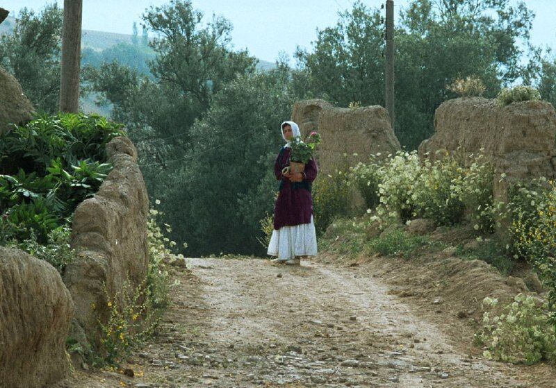 افتتاح جشنواره جهانی فیلم فجر با نمایش فیلمی از عباس کیارستمی افتتاح جشنواره جهانی فیلم فجر با نمایش فیلمی از عباس کیارستمی