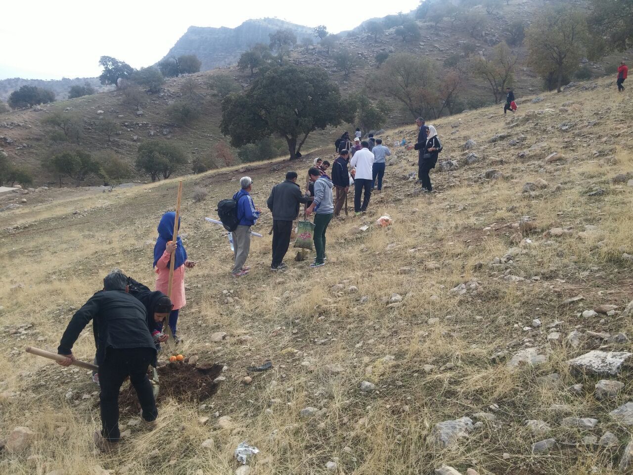 آغاز کاشت بذر بلوط در پارک جنگلی شهدای تکاب آغاز کاشت بذر بلوط در پارک جنگلی شهدای تکاب