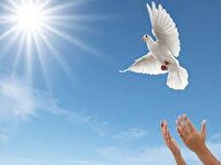 ۲۵۴ زندانی جرائم غیرعمد در همدان آزاد شدند