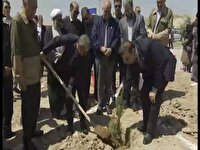 پویش ملی سرو ایران در بجنورد و کاشت نهال