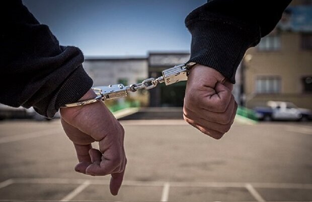 کشف ۶ فقره سرقت منزل در همدان