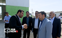 بررسی مشکلات واحد‌های تولیدی برای حمایت از تثبیت اشتغال و کنترل بازار