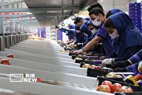فعالیت بیش از ۲ هزار تعاونی در کردستان