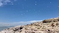 بازگشت حیات به نگین فیروزه‌ای ایران