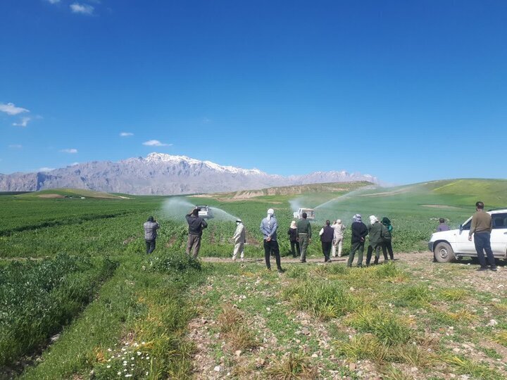 با کشت‌های ممنوعه بطور جدی برخورد می‌شود
