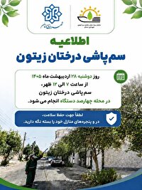 درختان چهارصد دستگاه سمنان امروز سم پاشی می‌شوند