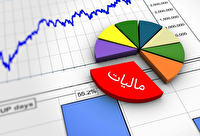 افزایش سهم سلامت از مالیات بر ارزش افزوده در خراسان جنوبی