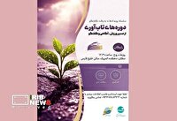برگزاری دوره‌های تاب آوری از مسیر ورزش، آگاهی و گفت‌و‌گو