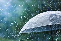 بارش پراکنده باران همراه با تندباد‌های لحظه‌ای در استان بوشهر
