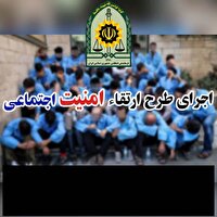 دستگیری ۱۱ سارق در دلیجان