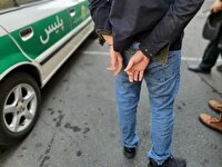 پایان جولان سارق سابقه‌دار در سوادکوه