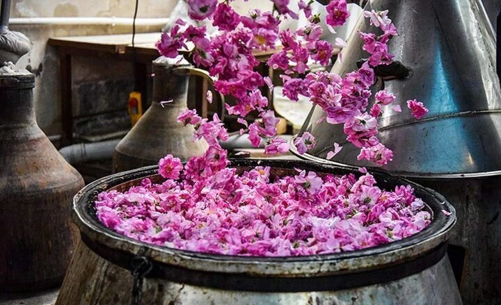 سومین جشنواره گلاب گیری بانه برگزار می شود
