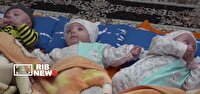 ثبت بیش از ۲۰ هزار واقعه ولادت در لرستان