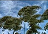 وزش باد شدید در مناطق مختلف فارس تا ۱۸ خرداد