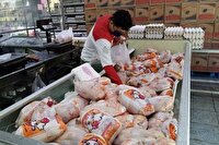 توزیع ۶۸۰ تن مرغ منجمد تنظیم بازار در کرمانشاه