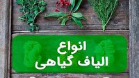 نخستین بار استخراج  الیاف از گونه‌های کاکتوس در چهارمحال و بختیاری