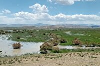 آغاز آبگیری تالاب «گرده‌ قیت و میمند» نقده
