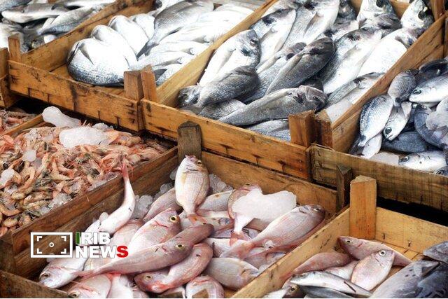 لزوم ایجاد بازارچه دائمی محصولات شیلات در سراب