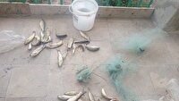 دستگیری صیادان غیرمجاز در منطقه ارجمند فیروزکوه ؛کشف ۲۸ قطعه ماهی صیدشده