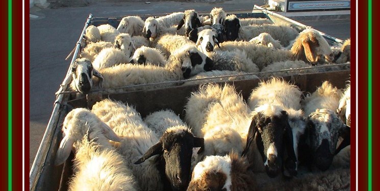 کشف ۳۵ هزار لیتر سوخت فاقد مجوز در داراب کشف ۳۵ هزار لیتر سوخت فاقد مجوز در داراب