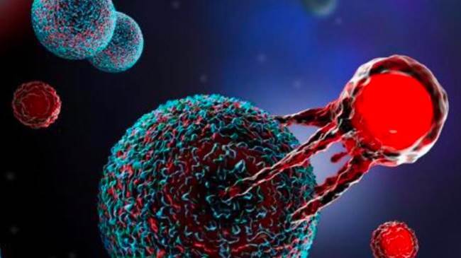 پیشرفت طرح بومیسازی ژندرمانی سرطان خون در ایران پیشرفت طرح بومیسازی ژندرمانی سرطان خون در ایران