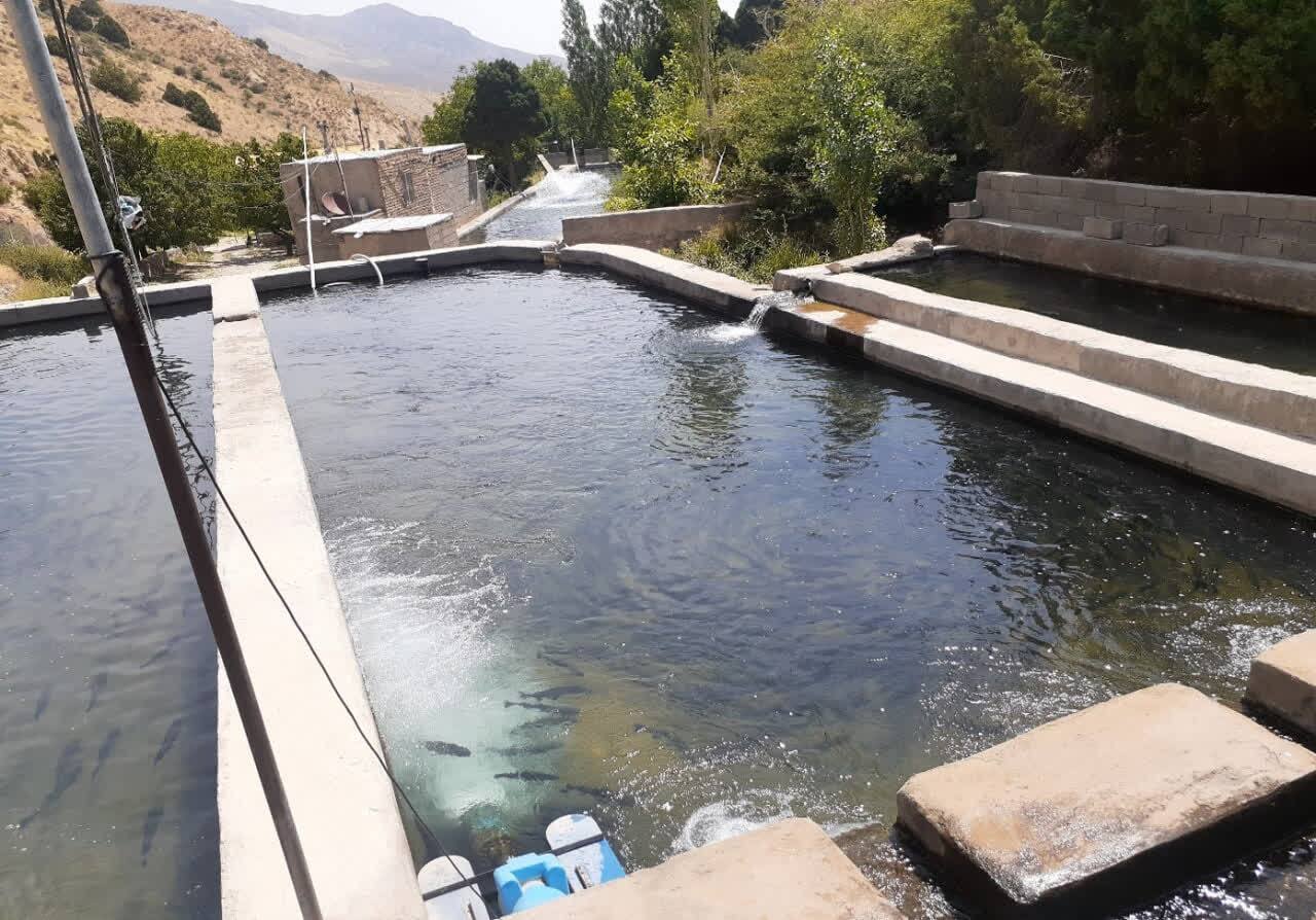 باز طراحی استخر‌های پرورش قزل‌آلا در سمنان
