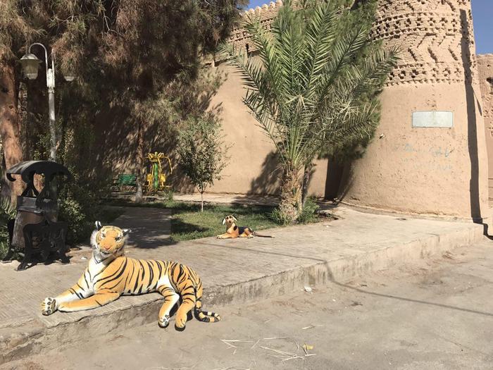 اینجا اطراف قلعه مهرجردمیبد واینها اینجا به فروش می رسند