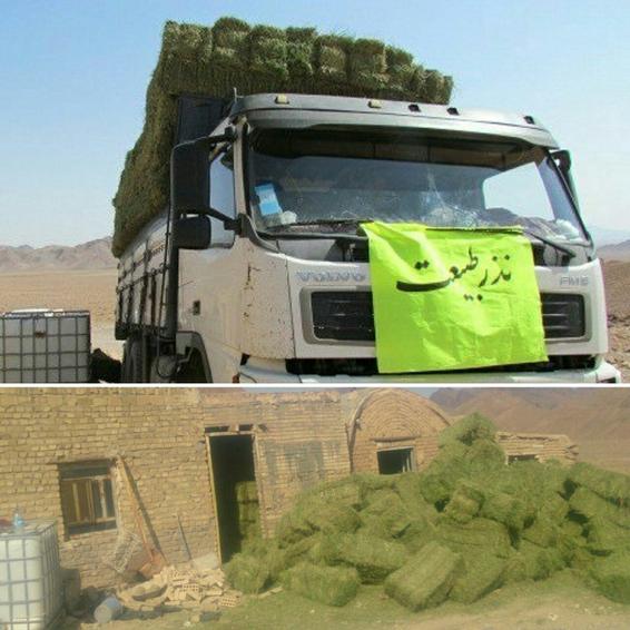 تهیه هشت تن علوفه برای حیات وحش پارک ملی سیاه کوه اردکان بانذرطبیعت توسط 79نفر